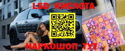 Альфа ПВП Бийск