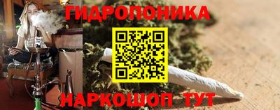 Альфа ПВП Бийск