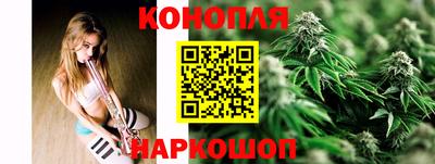 Альфа ПВП Бийск