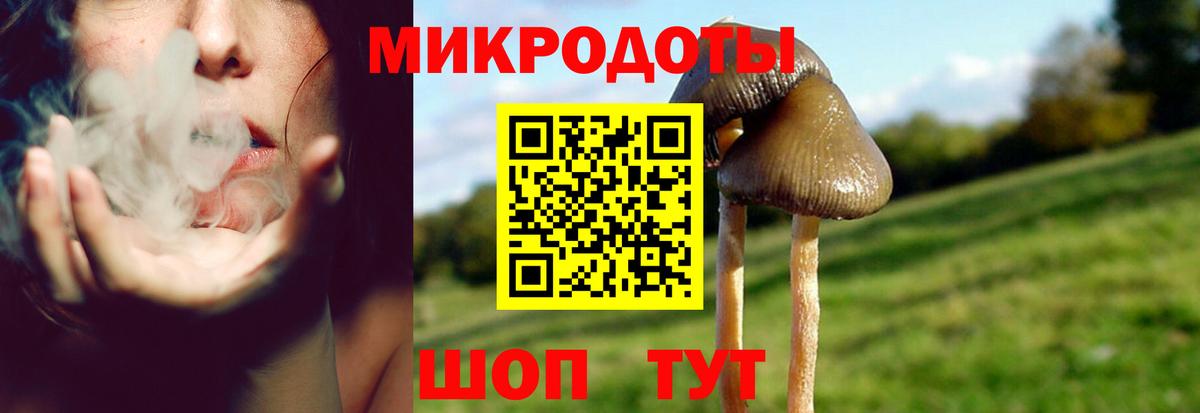 Кинель  Псилоцибиновые грибы MAGIC MUSHROOMS  Вход с VPN  Псилоцибиновые грибы мухоморы 
